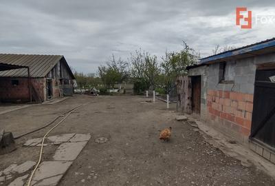 Casă individuală cu 3 camere cu Teren 2385 Mp în Sânmihaiu Român - 11