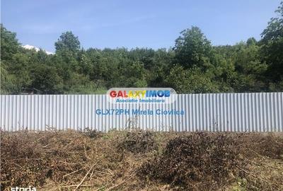 Casă cu 6 camere cu Teren 1513 Mp în Cornu - 5