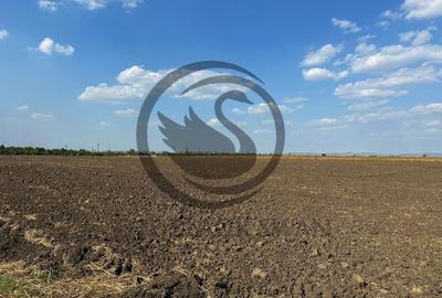 Teren extravilan de vanzare | 9882mp | Berceni - Prahova | Comision 0% - 2