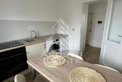 Apartament 1 camera , cu piscina , pet friendly, Chisoda - 6