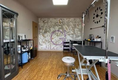 Salon Canin de Vanzare - 3