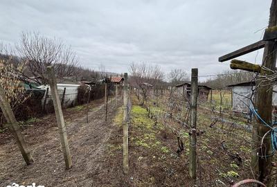 Casă cu 3 camere cu Teren 600 Mp în Săhăteni - 5