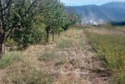 Teren 934 mp Ghimbav - 4