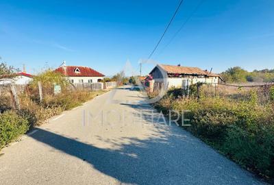 Teren intravilan de 3500 mp, în Drăguțești - 2