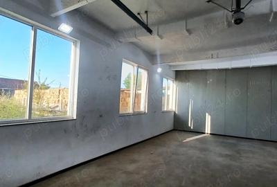 Spațiu comercial, de 3,000 mp, în Făget - 8