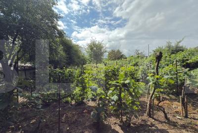 Teren Intravilan + Extravilan 5000 mp cu anexa demolabila Manastirea Doamnei - 4