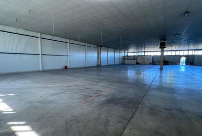 Hala 1400 pentru depozitare sau productie Hala 1400 pentru depozitare sau productie - 13