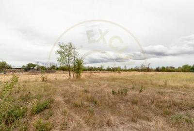 Teren de 3000 mp, în Oarja - 2