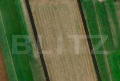 Teren de 10000 mp, în Central