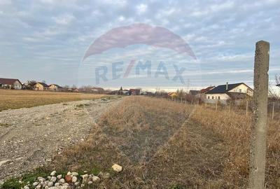 Teren de 4672 mp, în Câmpineanca - 6