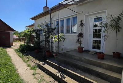 Casă cu Teren 2000 Mp în Central - 7