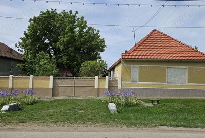 Vand casa familiala in sat Mailat comuna Vinga !