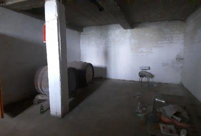 De vânzare fostă cramă 2000p teren, 224 mp construcție - 16