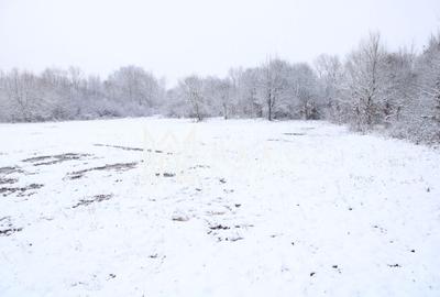 Teren Construcții intravilan de 1466 mp, în Exterior Est - 4