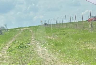 Spațiu comercial, în Găureni - 5