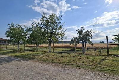 Teren de 1500 mp, în Nojorid - 1
