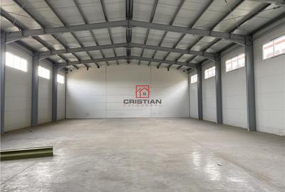 Spațiu comercial, de 1,300 mp, în Theodor Pallady - 5