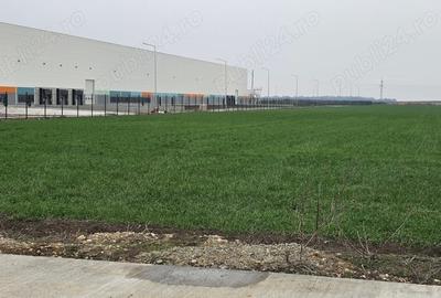 Teren Construcții intravilan de 10000 mp, în Șagului