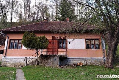 Teren de 69237 mp, în Criș - 10