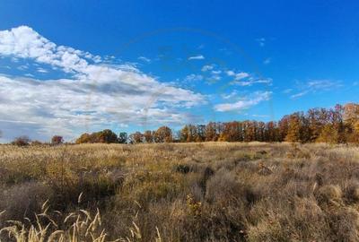 Teren generos de vanzare in Mosoaia Arges - 3
