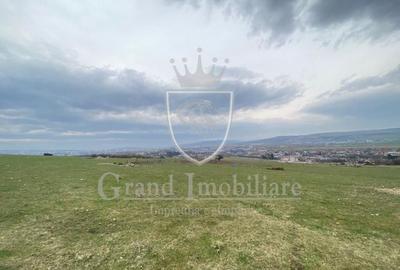 Teren intravilan, zona Calea Someseni - 1