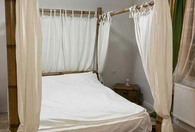 Casă cu 4 camere cu Teren 5000 Mp în Exterior Vest - 4