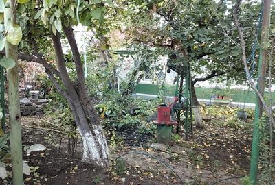 Teren Intravilan 580mp unic pe Strada Dantelei Teren Intravilan 580mp unic pe Strada Dantelei - 7