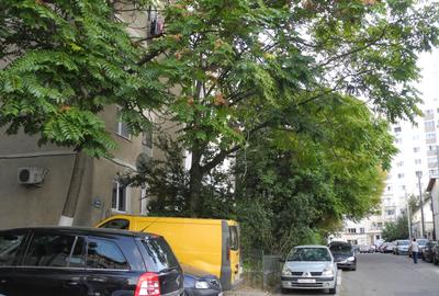 Crangasi-str.Padureni,3min parc si metrou,piata! - 9