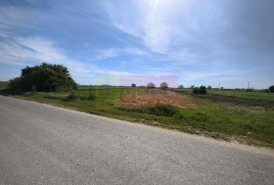 Teren Construcții intravilan de 4770 mp, în Dărăști-Ilfov - 3