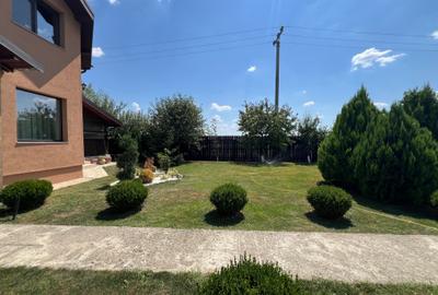 Vanzare Vila Individuala Branesti - 49