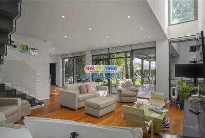 Vanzare vila in stil mediteranean,curte mare, piscina, Berceni Macului - 3