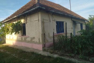 Vand casa locuibila cu vie ?i teren In sat Doh, comuna Maeriste - 1