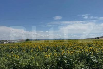 Teren de 20000 mp, în Central - 1