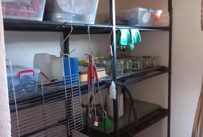 Casă cu 2 camere cu Teren 2100 Mp în Bichiș - 2