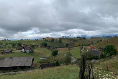 Teren de 5317 mp, în Șirnea - 6