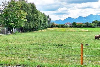 Brasov, cartier Stupini, teren intravilan 8500mp pe str Izvorului, 30 euro/mp - 9