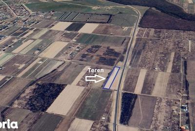 Teren de 7481 mp, în Sânmartin - 2