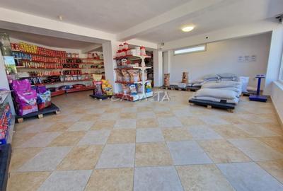 Inchiriere spatiu comercial, in Dragoeni - 3