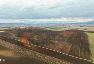 Spațiu comercial, în Șura Mică - 7