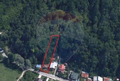 Teren de 1970 mp, în Provița de Jos - 4