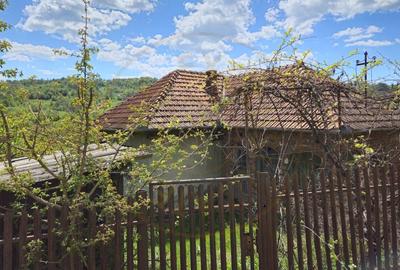 Casă individuală cu 2 camere cu Canalizare în Căpățânenii Pământeni - 3