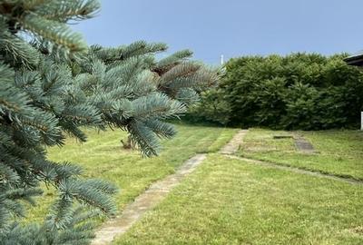 Proprietate specială, de 937 mp, în Dragomirești-Deal - 42