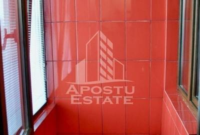 Apartament o camera, etaj intermediar si lift, Take Ionescu - 9