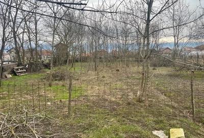 Casă cu Teren 1356 Mp în Jebel - 1