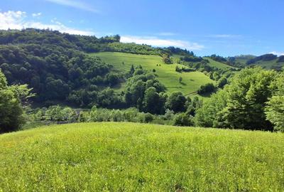 Spațiu comercial, în Poiana Mărului - 2
