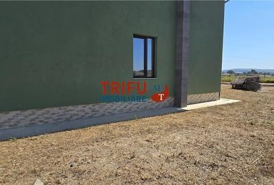 Casa de vanzare S+P+E zona Alba Micesti cu 800 mp teren - 15
