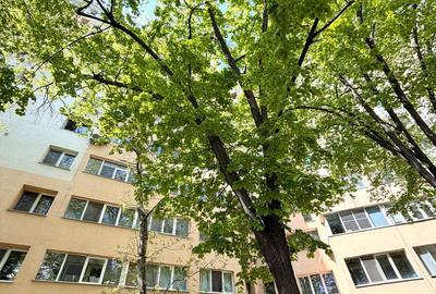 Apartament cu 2 camere, mobilat în Titan - 1