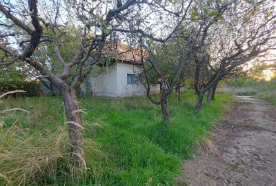 Spațiu comercial, în Cerbu - 5