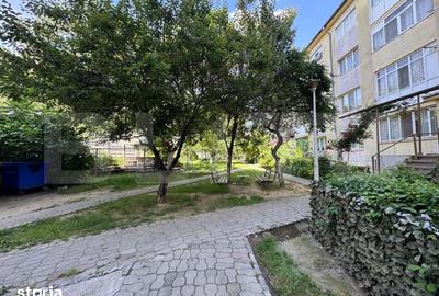 Apartament cu 2 camere semidecomandat în Brazda lui Novac - 11