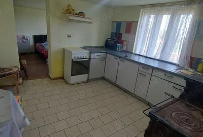 Casă cu 2 camere în Silagiu - 7